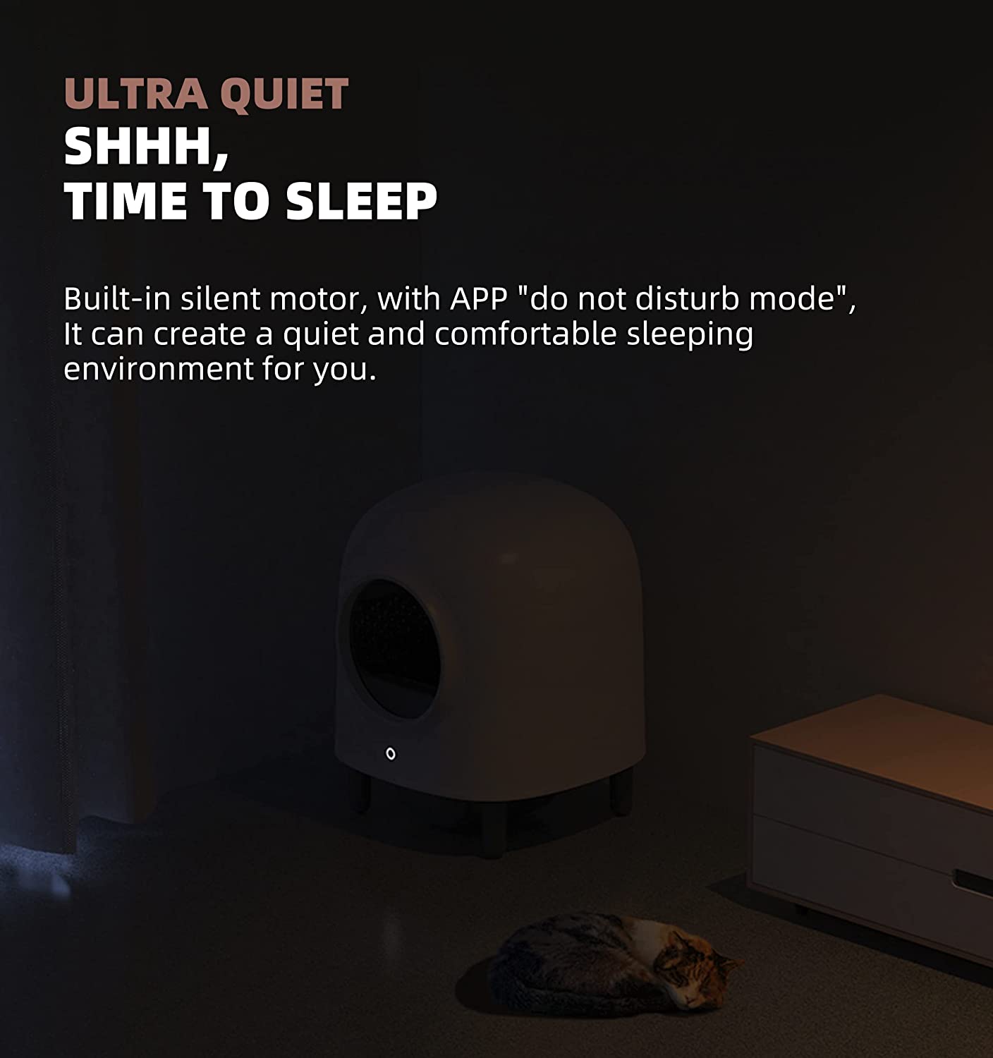 Petree Second Generation