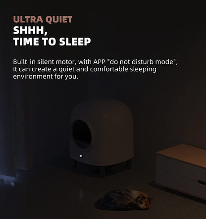 Petree Second Generation