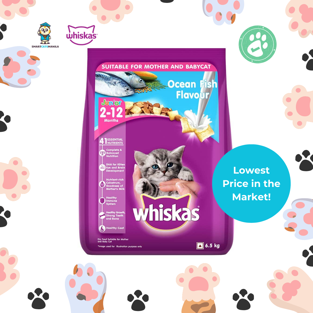 Whiskas Junior Dry Cat Food – Ocean Fish Flavor 6.5kg