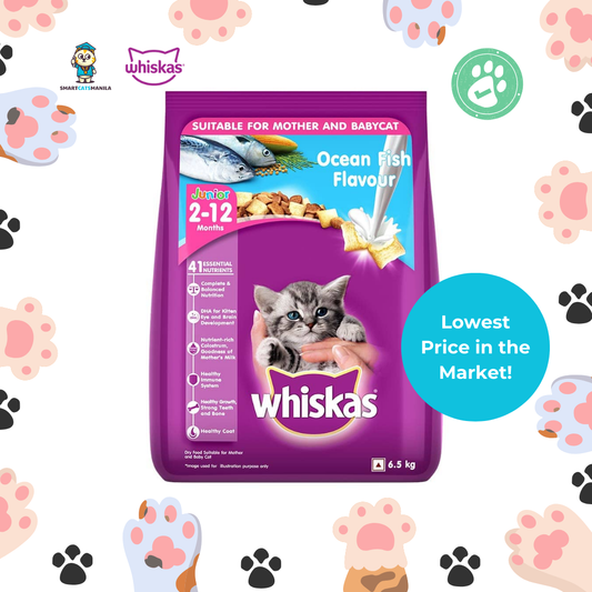 Whiskas Junior Dry Cat Food – Ocean Fish Flavor 6.5kg